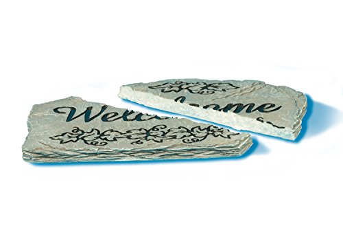 Loctite Jeringa epoxi Quick Set de 0.85 onzas líquidas (1395391)