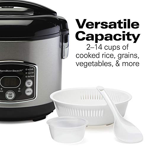 Hamilton Beach 37548 Rice & Hot Cereal Cooker, Stainless Steel