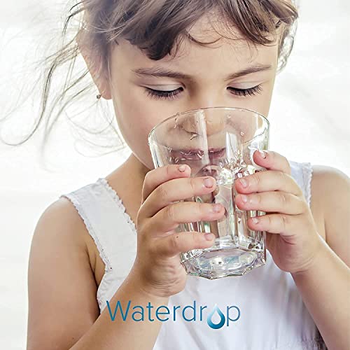 Waterdrop WD-PF-01A Plus - Filtros de repuesto para todos los sistemas de filtración de jarra de agua, reduce PFAS, PFOA/PFOS, cloro, duran hasta 3 meses o 200 galones (paquete de 3)