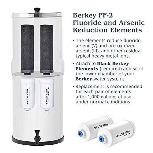 berkey BK4 X 2-bb Big berkey sSistema de filtrado de agua potable con 4 filtros – 2 Filtros De Color Negro y 2 filtros de flúor 2,25 Galón8,5 L