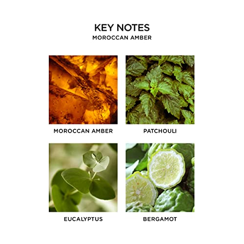 Nest Fragrances - Difusor de Varillas de ámbar marroquí