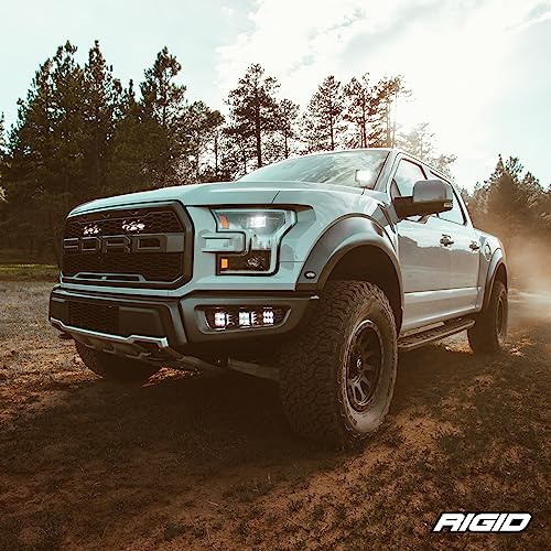 Rigid Industries 201923 cubierta de luz (D-Series, 3 pulgadas, transparente, universal)