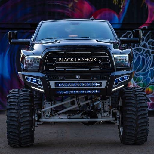 RIGID INDUSTRIES 250053 Radiance+ Barra de luz RGBW de 50 pulgadas