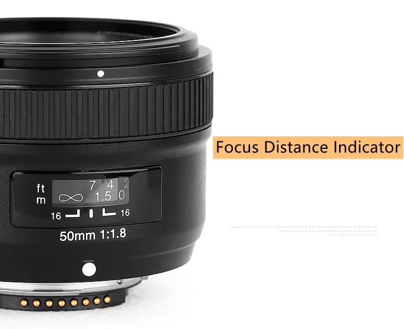 Carbose Industrial limited Yongnuo YN35mm F2 1: 2 AF/MF Lente Gran Angular Fija/Prime Auto Focus