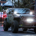 RIGID INDUSTRIES 250053 Radiance+ Barra de luz RGBW de 50 pulgadas