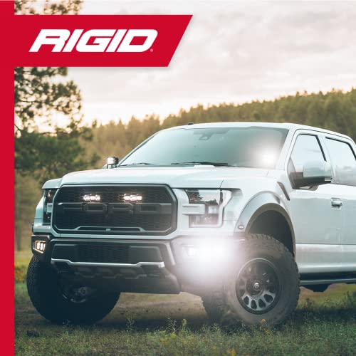 RIGID INDUSTRIES Luz antiniebla SAE serie D (par): luz antiniebla legal de calle para auto
