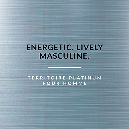 Territoire Platinum by YZY Eau de Parfum For Men's 3.4 FL oz 100 ML