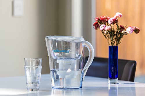 Filtros de agua Epic Filtro de reemplazo Pure Pitcher de Epic Water Filters