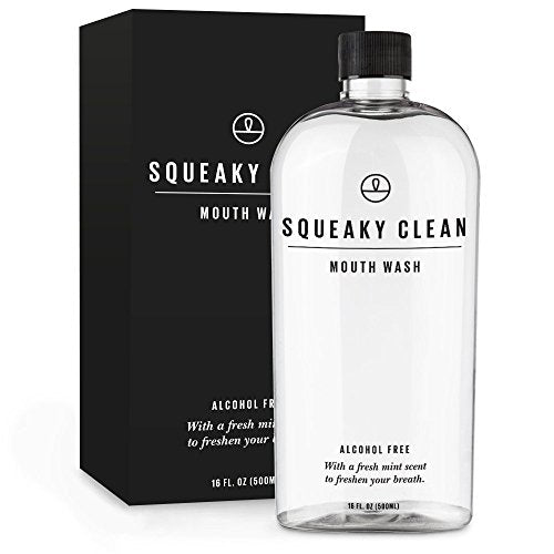 Fresh Breath Oral Mouth Rinse - Dentist Recommended, Cool Minty Flavor - Treats Bad Breath - Squeaky Clean 16oz