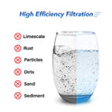 ICEPURE Filtro de agua para toda la casa de 5 micras, 10 x 4.5 pulgadas, compatible con GE FXHTC, GXWH40L, RFC-BBSA, W50PEHD, GXWH35F, GNWH38S, Dupont WFHD13001, R50-BB, paquete de 2