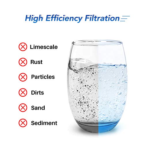 ICEPURE Filtro de agua para toda la casa de 5 micras, 10 x 4.5 pulgadas, compatible con GE FXHTC, GXWH40L, RFC-BBSA, W50PEHD, GXWH35F, GNWH38S, Dupont WFHD13001, R50-BB, paquete de 2