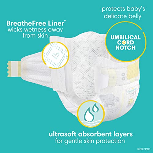 Pampers Swaddlers, ONE Month Supply