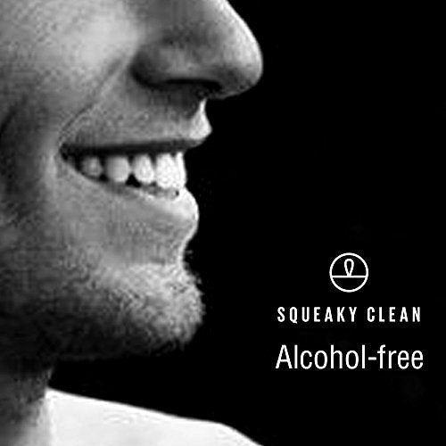 Fresh Breath Oral Mouth Rinse - Dentist Recommended, Cool Minty Flavor - Treats Bad Breath - Squeaky Clean 16oz