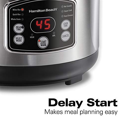 Hamilton Beach 37548 Rice & Hot Cereal Cooker, Stainless Steel