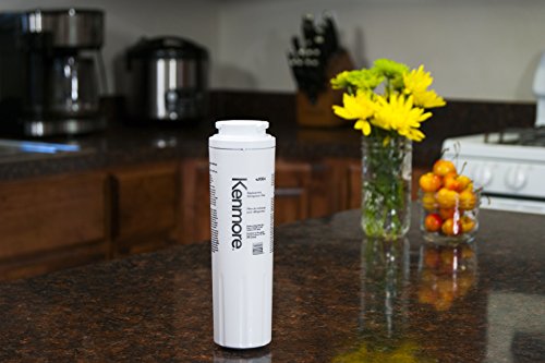 Kenmore 9084 9084 - Filtro de agua para refrigerador, color blanco