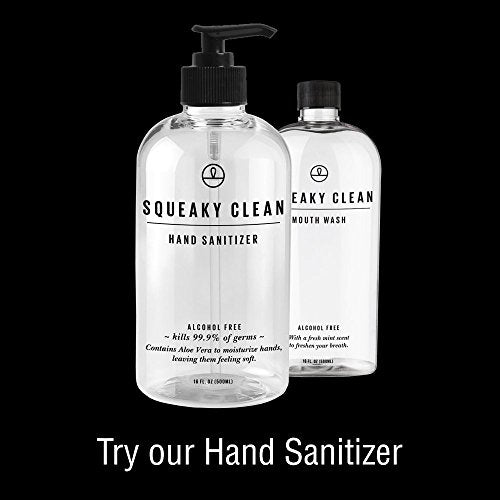 Fresh Breath Oral Mouth Rinse - Dentist Recommended, Cool Minty Flavor - Treats Bad Breath - Squeaky Clean 16oz