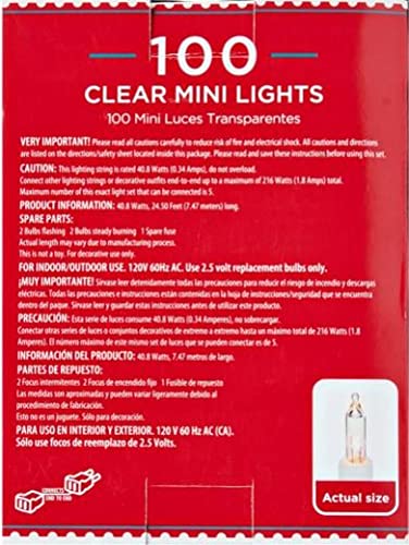 Holiday Time - Mini luces transparentes (100 unidades), color blanco