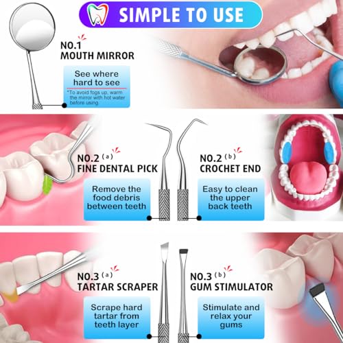Herramientas dentales, 6 unidades de herramientas de limpieza de dientes de acero inoxidable, removedor de sarro raspador de placa raspador de dientes con espejo de boca, kit de pinzas para dentista, cuidado bucal familiar, perros