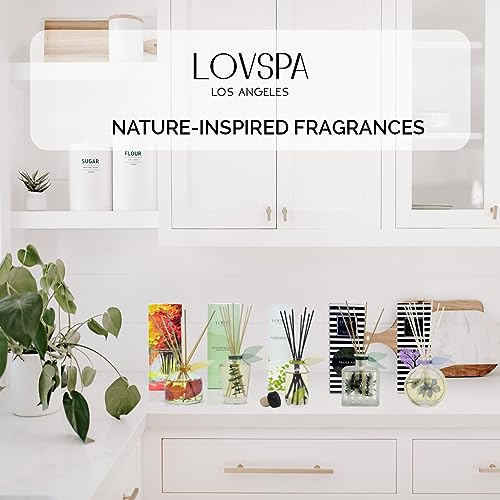 LOVSPA aceite difusor de varillas de ámbar báltico con varillas de repuesto | resina de ámbar rica, sándalo y almizcle relajante con notas cítricas y florales claras, 4 onzas | fabricado en los Estados Unidos