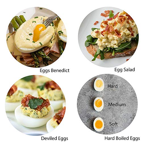 Hamilton Beach Olla eléctrica de huevo duro, 3 en 1: olla de huevo hervido, escalfador y omelette, puede contener 7 huevos, negro con perilla plateada (25500)