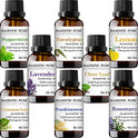 MajesticPure Aromatherapy Essential Oils Set - 10 ml Each - Includes Peppermint, Lavender, Eucalyptus, Lemon, Frankincense, Clove Leaf, Cinnamon Leaf & Rosemary Oils - Pack of 8