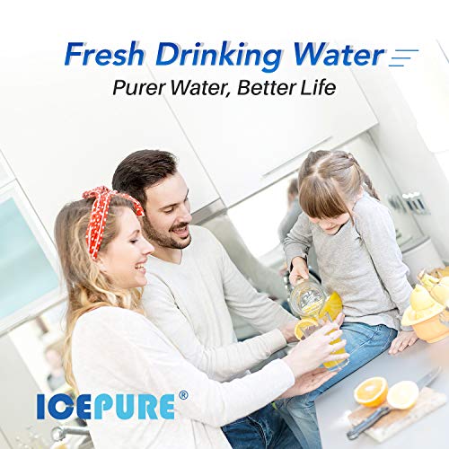 ICEPURE Filtro de agua para toda la casa de 5 micras, 10 x 4.5 pulgadas, compatible con GE FXHTC, GXWH40L, RFC-BBSA, W50PEHD, GXWH35F, GNWH38S, Dupont WFHD13001, R50-BB, paquete de 2