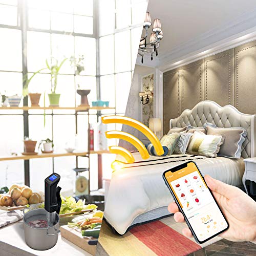 Inkbird Culinary Sous Vide - Cocina de precisión Wi-Fi, circulador de inmersión de 1000 W con componentes de acero inoxidable, interfaz digital, temperatura y temporizador para cocina