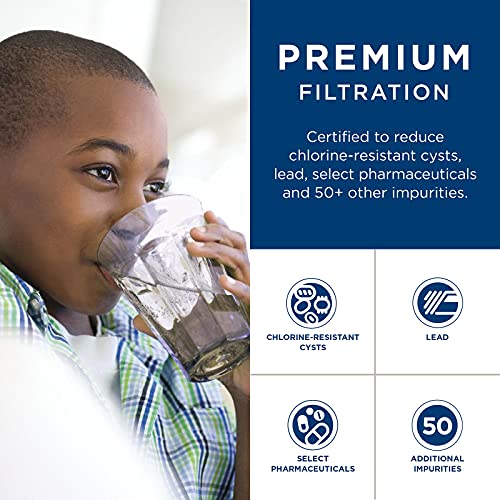GE XWFE Filtro de agua para refrigerador | Certificado para reducir el plomo, el azufre y más de 50 impurezas | Reemplaza cada 6 meses para obtener los mejores resultados | Paquete de 1