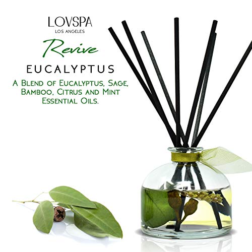 New EUCALYPTUS Scented Reed Diffuser Set REVIVE by LOVSPA Fragrances Fresh Eucalyptus, Sage, Citrus, Bamboo & Mint Great Gift for Mom, Dad, Grandma, Godmother or Aunt