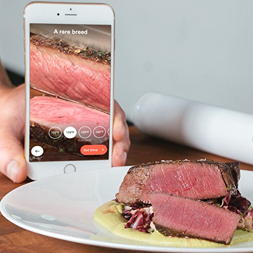 ChefSteps CS10001 Joule Sous Vide, blanco/acero