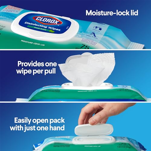 Clorox Disinfecting Bleach Free Cleaning Wipes, 75 Wipes, Pack Of 3 (Packaging May Vary)