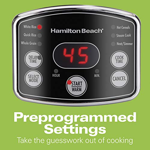 Hamilton Beach 37548 Rice & Hot Cereal Cooker, Stainless Steel