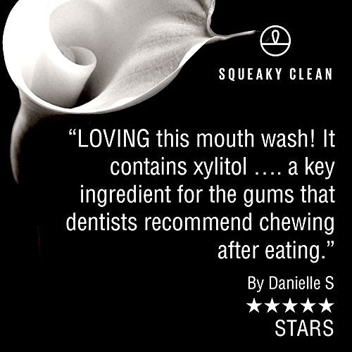 Fresh Breath Oral Mouth Rinse - Dentist Recommended, Cool Minty Flavor - Treats Bad Breath - Squeaky Clean 16oz