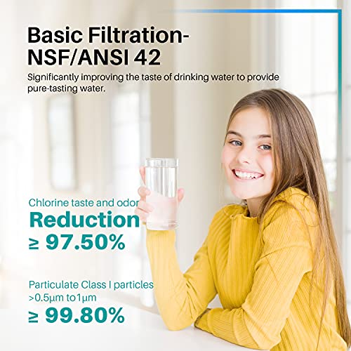 ICEPURE Pro DA29-00003G NSF401&473&53&42 Repuesto certificado para Samsung DA29-00003A, Aqua-Pure Plus DA29-00003B, HAFCU1, RS22HDHPNSR RSG257AARS RF267AERS, HDX-FMS-1 Filtro de agua para refrigerador, paquete de 2