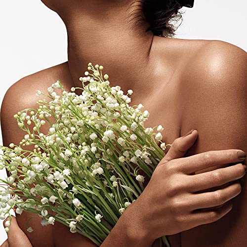 DKNY Cashmere Mist
